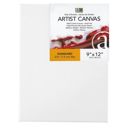 ART ADVANTAGE ARTIST CANVAS VISUAL EDGE 9X12 Art Supplies